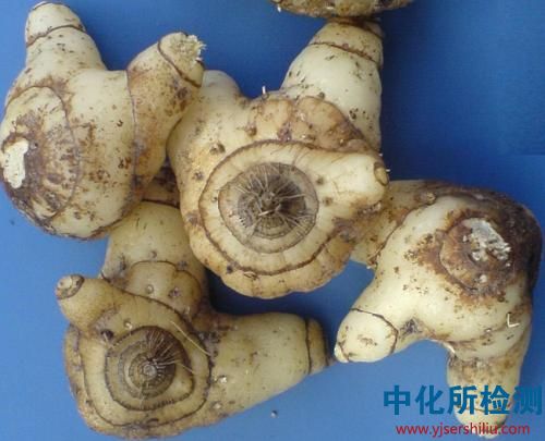 白芨檢測(cè)