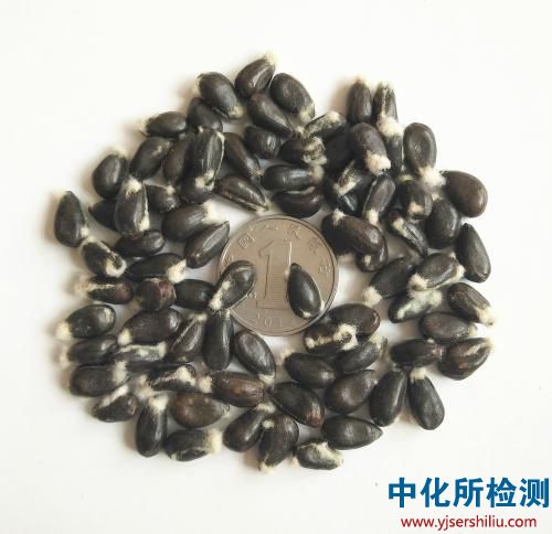 棉籽檢測(cè)