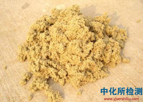 艾絨檢測