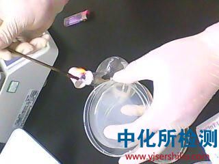 無菌檢查