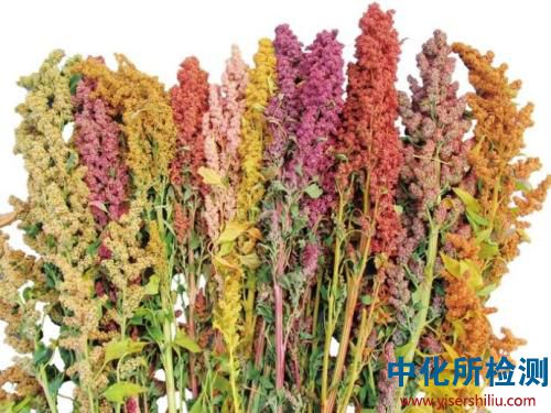 藜麥檢測