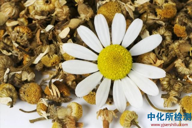 精油檢測 . 芳香治療|精油護(hù)理